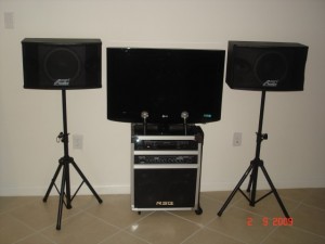 karaoke wih speakers and tv party accessories