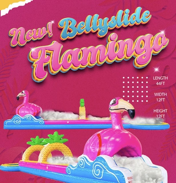 flamingo themed water slide rental in miami