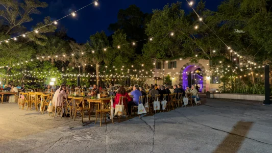 bistro lighting for vizcaya gardens museum event